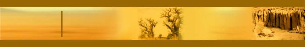 Banner Baobab t