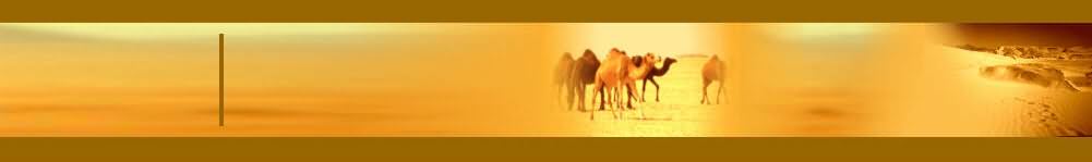 Banner Camels Kuwait T