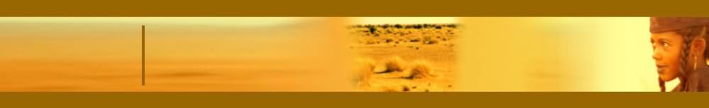 Banner Niger T