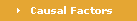 Causal Factors